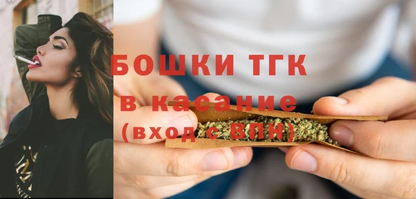 шишки Наволоки