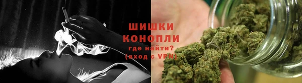шишки Наволоки