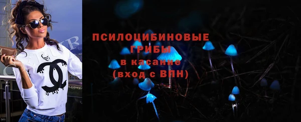 шишки Наволоки