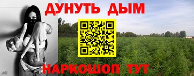 ECSTASY Камышлов