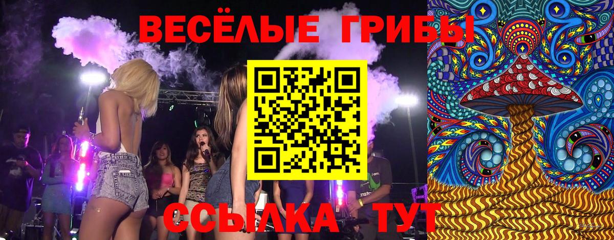 Меф  Тосно  ГАШИШ  Канабис  ТГК  Меф   Вход с VPN 