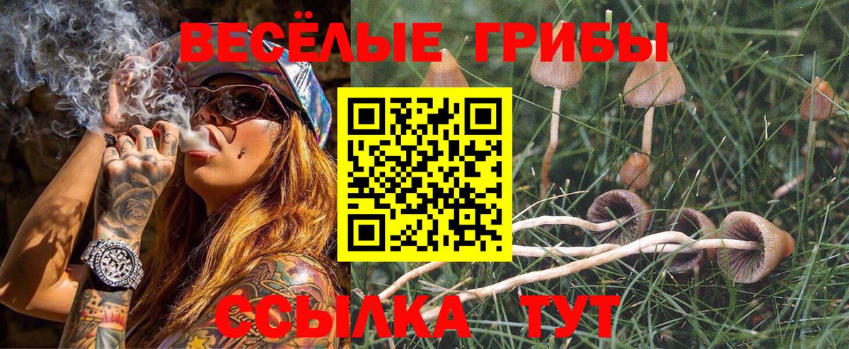 Псилоцибиновые грибы мухоморы  Галлюциногенные грибы ЛСД  Тосно  Вход с VPN 