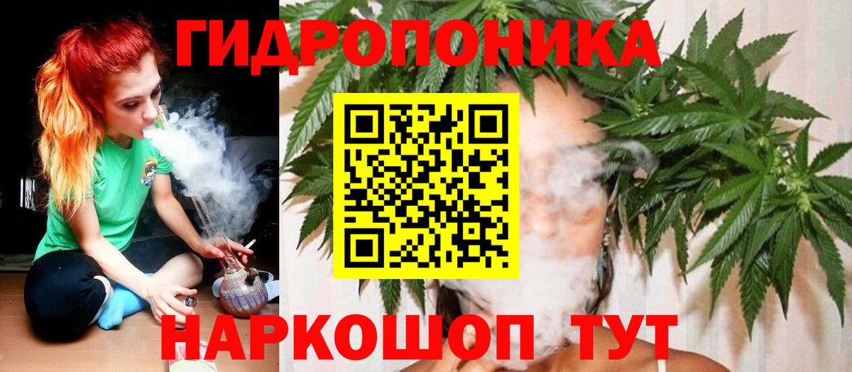 Тосно  Конопля ГИДРОПОН  Бошки Шишки VHQ  Конопля тримм  Вход с VPN  Бошки Шишки LSD WEED 